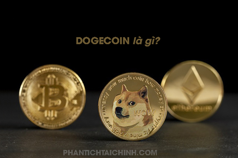 Dogecoin Là Gì? Những Thông Tin Cần Biết Về Đồng Dogecoin